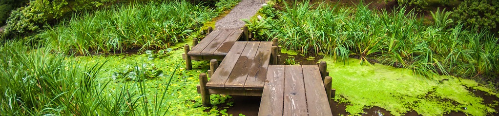 Nitobe Memorial Gardens -- CC BY-NC 2.0 - @kardboard604 https://www.flickr.com/photos/moov4/10157685024/